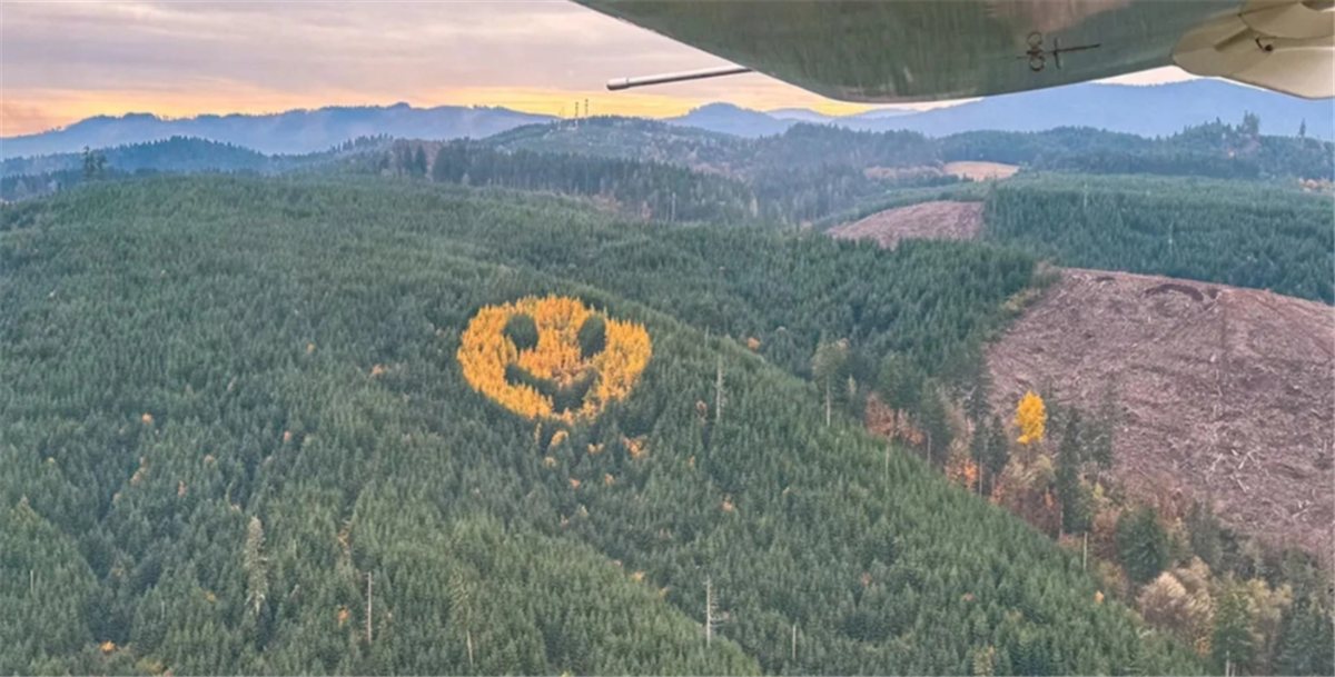 Όρεγκον: Το γιγάντιο emoji από δέντρα που φαίνεται από το διάστημα