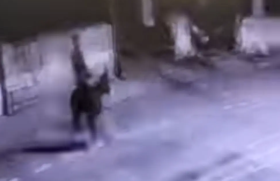 Διαρρήκτης στην Τουρκία άνοιξε κοσμηματοπωλείο με κλαρκ και διέφυγε με... γαϊδούρι - Δείτε βίντεο