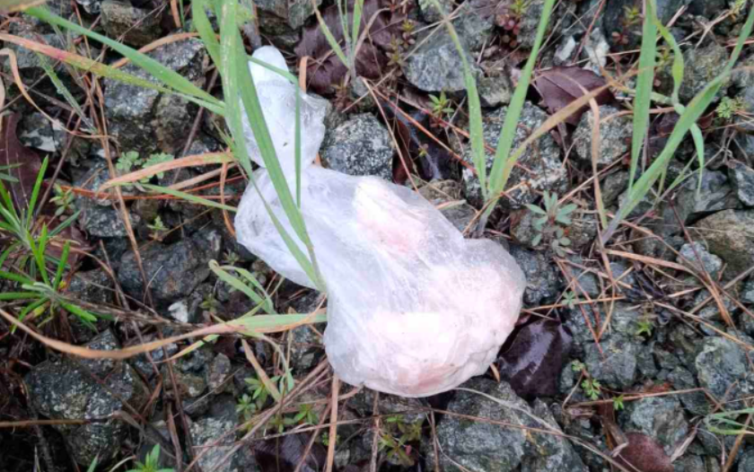 Συναγερμός για δηλητηριασμένα δολώματα σε περιοχή της Λεμεσού - Δείτε φωτογραφίες