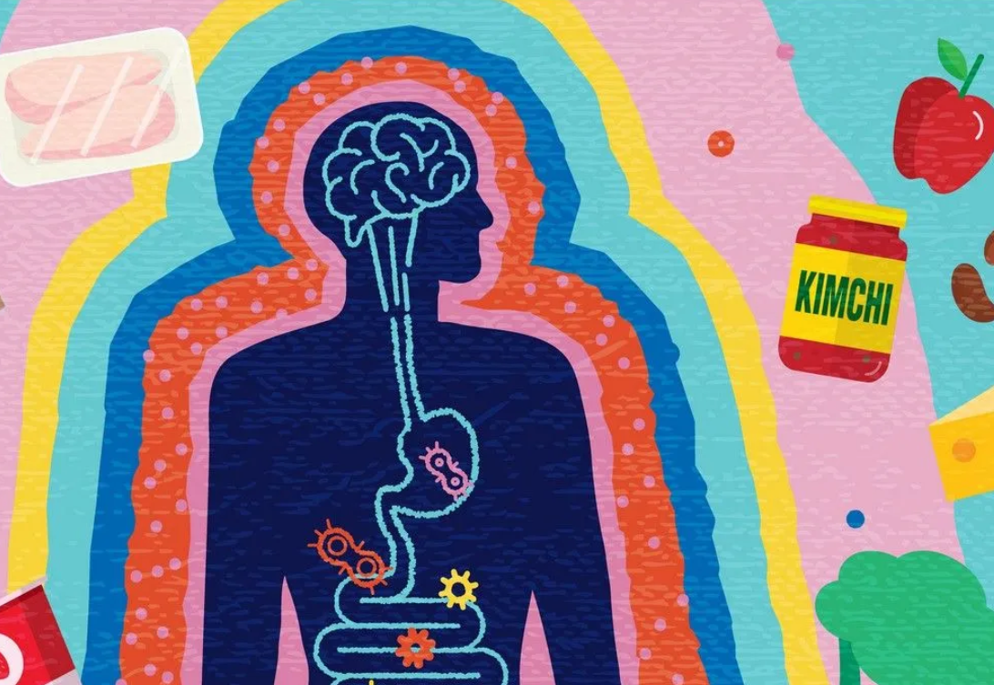 Ήξερες ότι το έντερο είναι ο δεύτερος εγκέφαλός σου;
