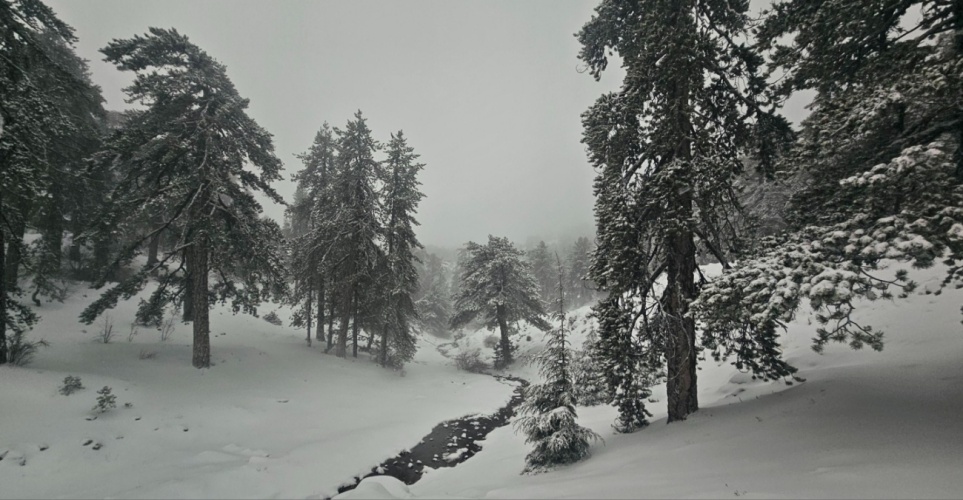 Στο «ψυγείο» η Κύπρος: «Βουτιά» της θερμοκρασίας, βροχές και χιόνια το Σαββατοκύριακο - Το ύψος του χιονιού στο Τρόοδος