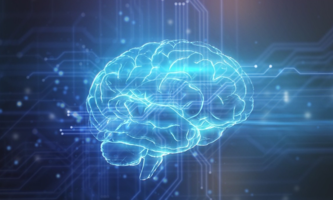 Αυτές είναι οι ηλικίες στη ζωή μας που ο εγκέφαλός μας αλλάζει