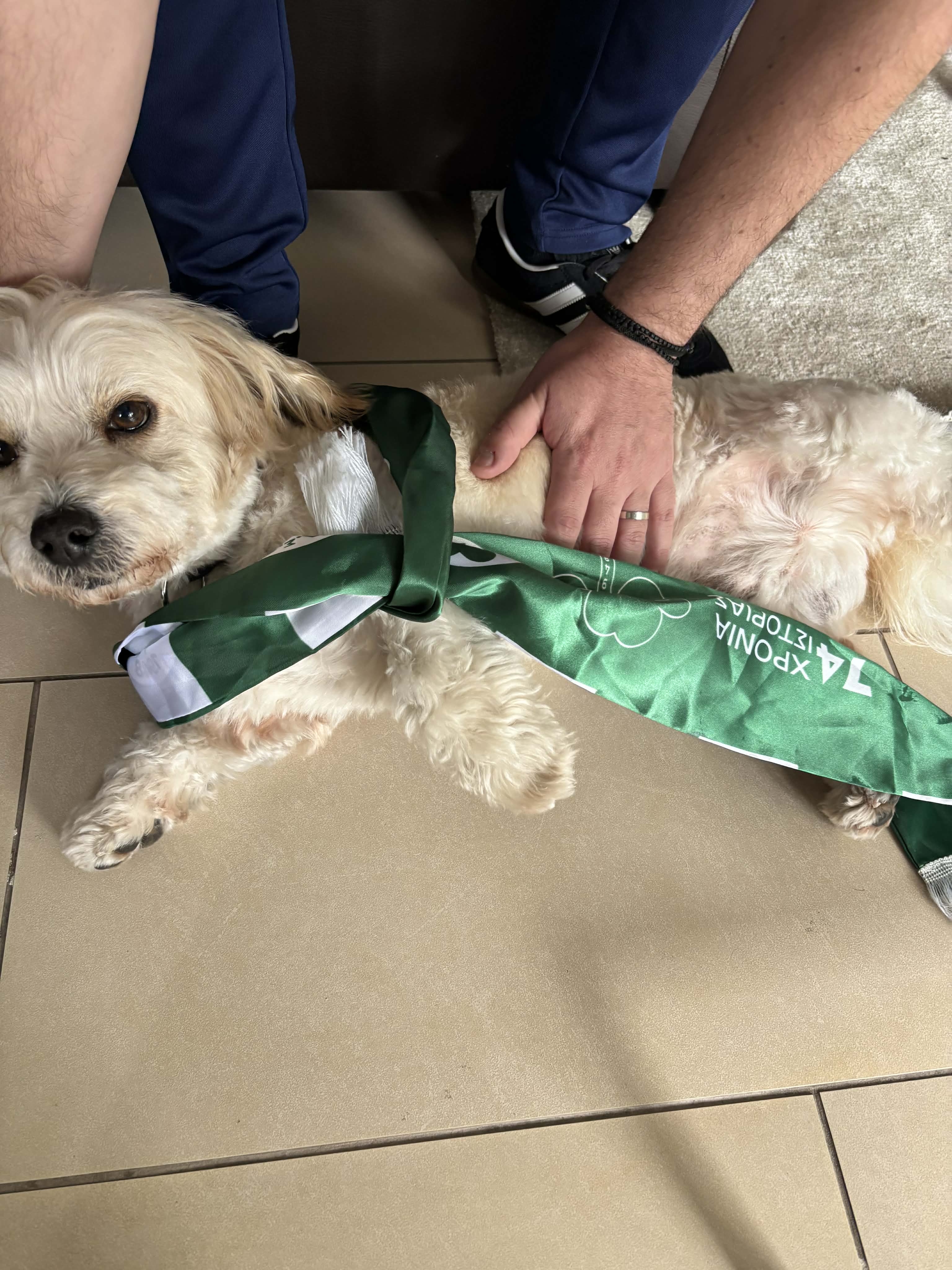 Φόρεσε τα πράσινα ο Snoopy και ετοιμάζεται για το στέμμα! (ΦΩΤΟΓΡΑΦΙΕΣ)