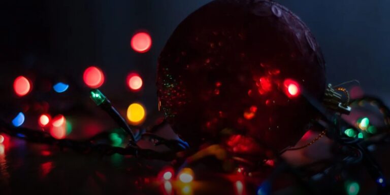 Φρικτό έγκλημα: Έφηβος πυροβόλησε και σκότωσε τη μητέρα του την επομένη των Χριστουγένννων