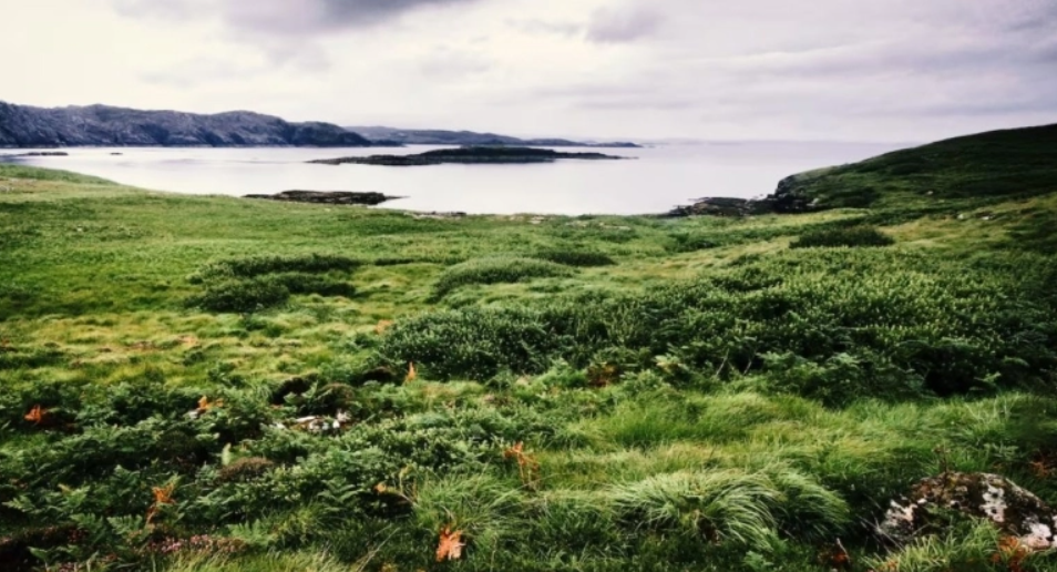 Μισθός 30.000 ευρώ για 6 μήνες: Ζητούνται άτομα για εργασία σε έρημο νησί