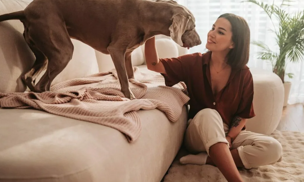 Τι μπορεί να αισθάνεται ο σκύλος μας όταν μας ακολουθεί παντού στο σπίτι