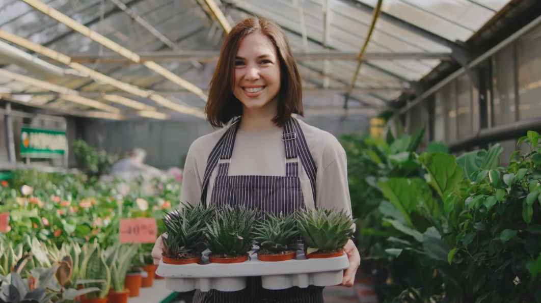 8 φυτά εσωτερικού χώρου που χαρίζουν αρμονία και μας φτιάχνουν τη διάθεση
