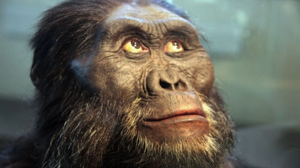 Ούτε οι πίθηκοι, ούτε οι μαϊμούδες: Ποιος θα κάνει «κουμάντο» στη Γη όταν εξαφανιστεί ο άνθρωπος