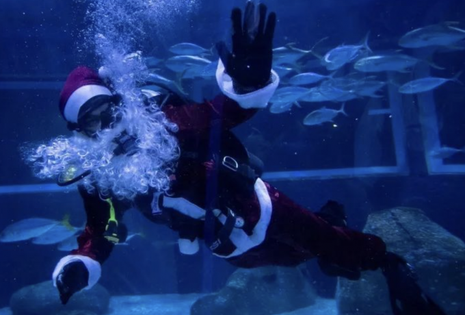 Χριστούγεννα στον βυθό: Από τη Βραζιλία μέχρι την Κύπρο οι Άγιοι Βασίληδες φόρεσαν… βατραχοπέδιλα (BINTEO)