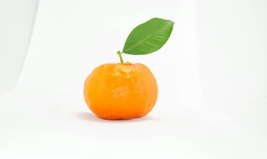 Γιατί αξίζει να προσθέσεις πικρές τροφές στη διατροφή σου