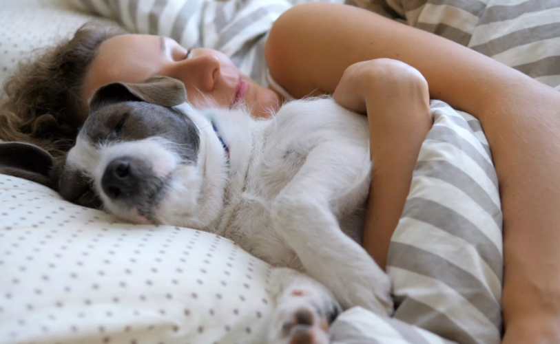 Έρευνα: Οι γυναίκες κοιμούνται καλύτερα με έναν σκύλο στο πλάι τους παρά με τον σύντροφο τους