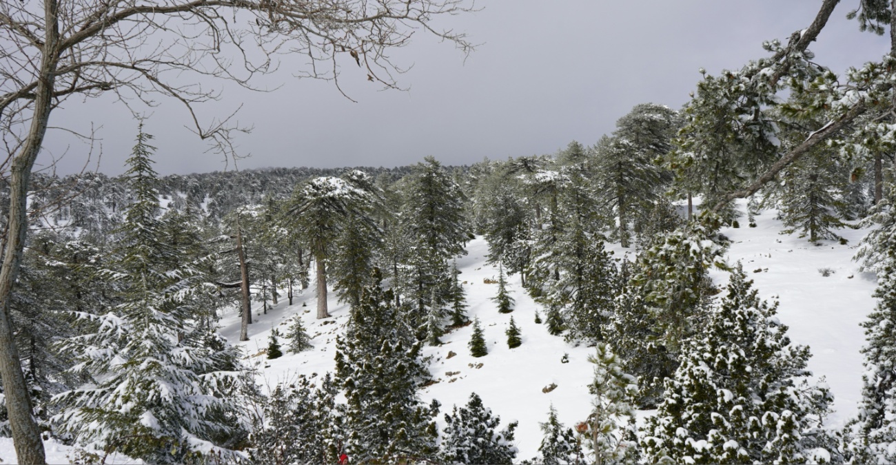 ΚΑΙΡΟΣ: Σε ισχύ κίτρινη προειδοποίηση - Καταιγίδες και χιόνια στο μενού