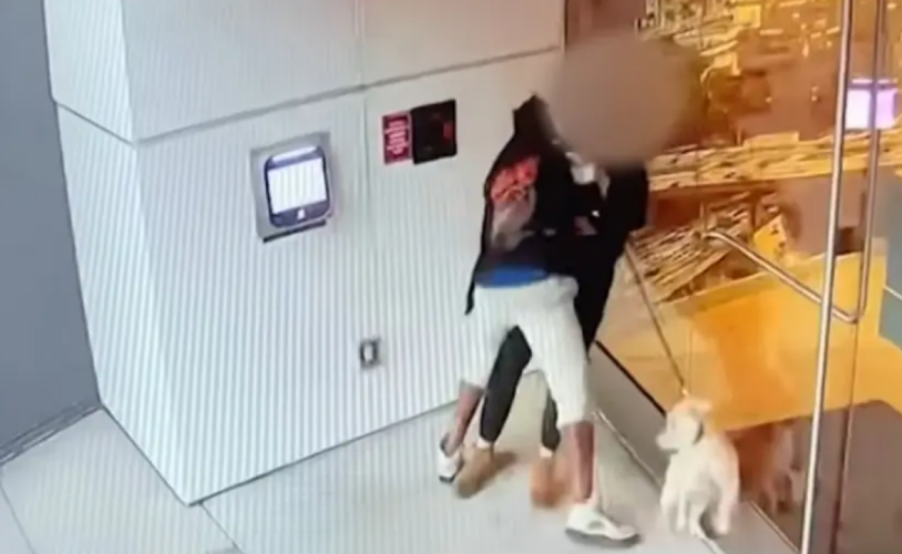 Τρόμος για γυναίκα: Κάμερα κατέγραψε τη σεξουαλική επίθεση που δέχθηκε ενώ έβγαζε βόλτα τον σκύλο (ΒΙΝΤΕΟ)