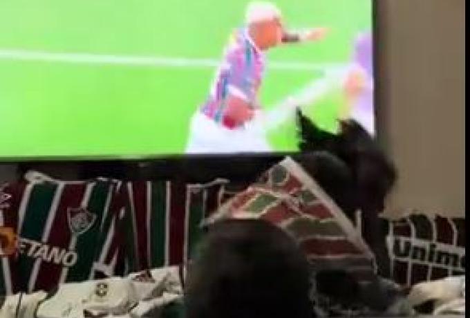 Εκπληκτικό: Σκύλος πανηγυρίζει έξαλλα το γκολ της Φλουμινένσε! (ΒΙΝΤΕΟ)
