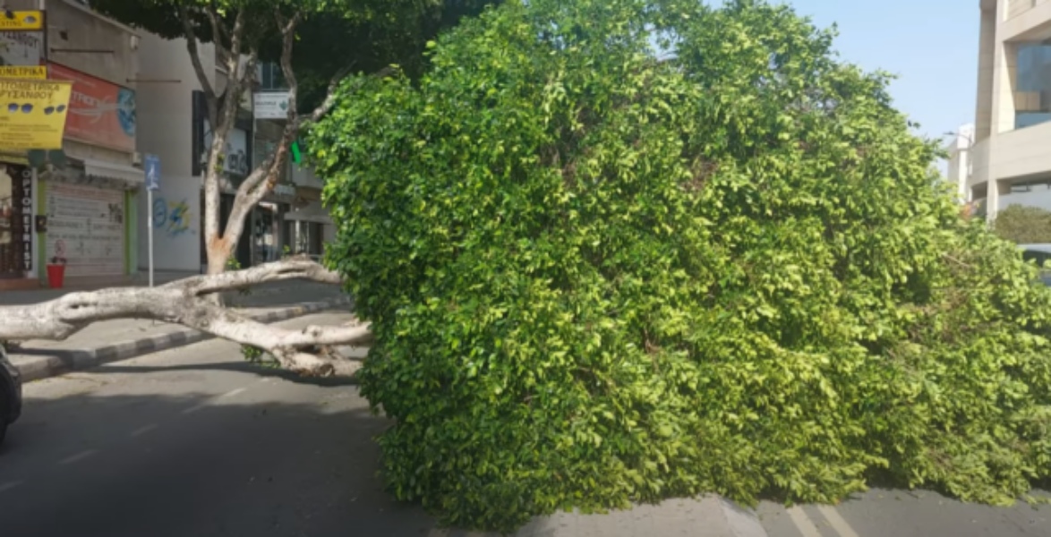 Χαμός σε όλη την Κύπρο από την κακοκαιρία – Έπεσαν από δέντρα μέχρι ντεπόζιτα - Ζημιές σε οχήματα – Δείτε φωτογραφίες